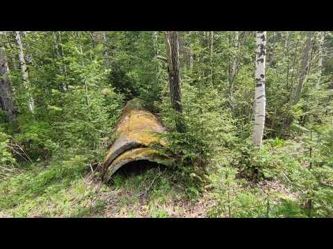 Видео: 2025.05.23. Крючково, оз. Таежное, вода +17°