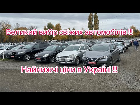 Видео: НАЙНИЖЧІ ЦІНИ🤯НА АВТОМОБІЛІ НА ЛУЦЬКОМУ АВТОРИНКУ🤩АвтоПідбір✅