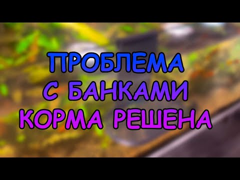 Видео: Проблема с банками корма решена