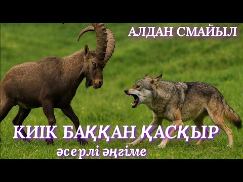 Видео: КИІК БАҚҚАН ҚАСҚЫР. ДАНЫШПАН КЕМПІР. аудио әңгіме. аудио кітап. әсерлі әңгіме 