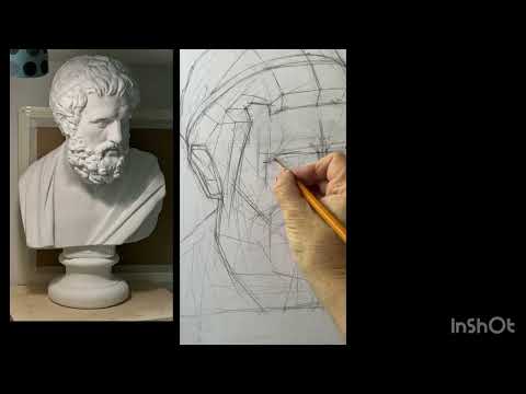 Видео: Рисуем Софокла. Часть 2.Строгановкка