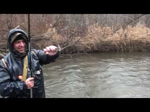 Видео: Ловля хариуса на мушки в конце октября 2021 года
