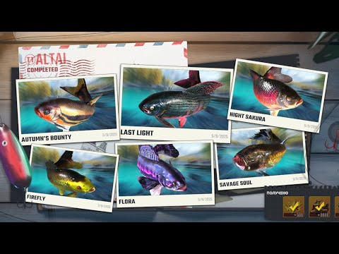 Видео: Fishing Master Altai монтсры