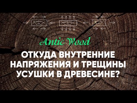 Видео: Откуда внутренние напряжения и трещины усушки в древесине? Авторский #паркет AnticWood.