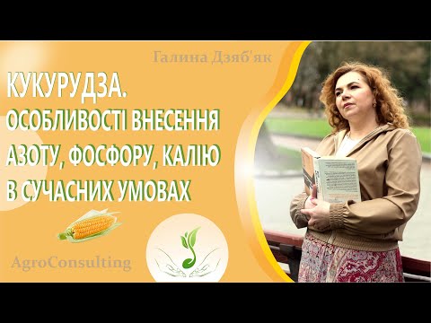 Видео: Технологія вирощування кукурудзи: особливості внесення азоту,фосфору, калію в сучасних умовах