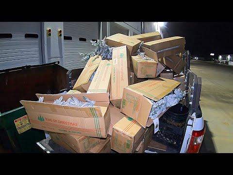 Видео: Покопавшись в мусорном баке, вышло из-под контроля!