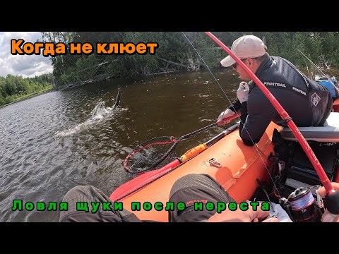 Видео: Когда не клюет. Ловля щуки после нереста на озере