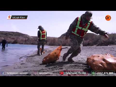 Видео: КӨЛДӨГҮ БАЛЫКТАР ТУКУМ КУРУТ БОЛУУДА. БРАКОНЬЕРЛЕР КАЧАН ЖОК БОЛОТ?