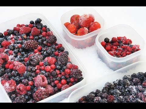 Видео: Как правильно заморозить клюкву на зиму? Способы и рецепты