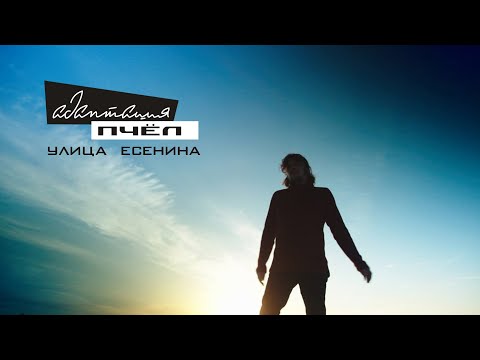 Видео: Адаптация Пчёл - Улица Есенина (Официальная премьера клипа)