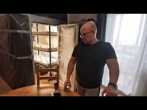 Видео: Клубника на аэропонике - Посадка!