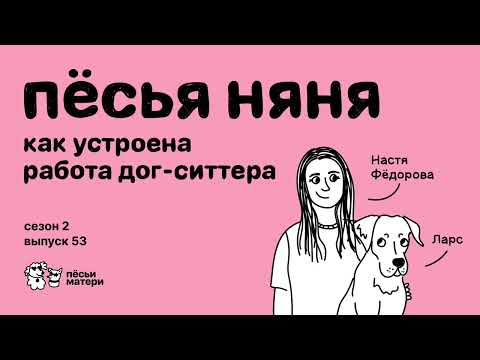 Видео: Пёсья няня: как устроена работа дог-ситтера