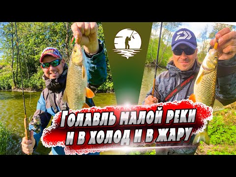 Видео: Как ловить голавля в жаркую и холодную погоду | Денис Вихров