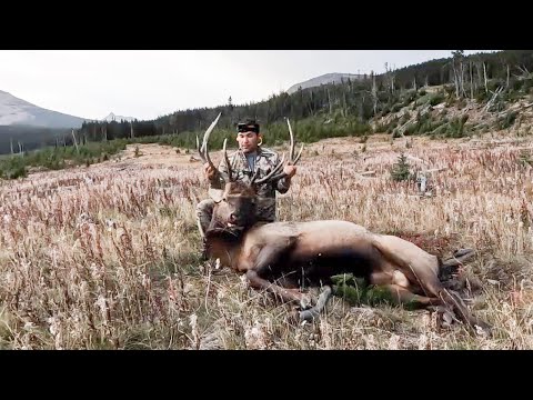 Видео: Охота на лосей в Альберте — открывалка для винтовки WMU 402