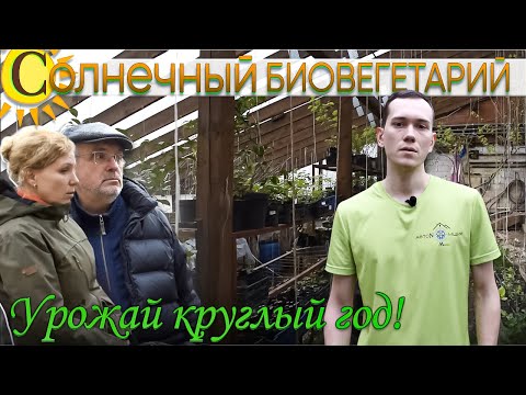 Видео: Солнечный биовегетарий Иванова. Преимущества заглубленного биовегетария.