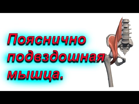 Видео: Растяжка пояснично подвздошной мышцы