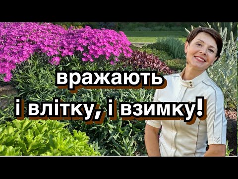 Видео: Багаторічники в ландшафті. Ґрунтопокривні рослини для саду.