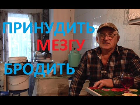 Видео: КАК ПРИНУДИТЬ МЕЗГУ К БРОЖЕНИЮ