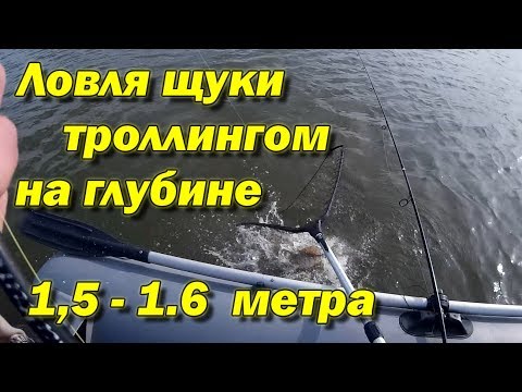 Видео: Ловля щуки троллингом на глубине 1,5 - 1,6 метра