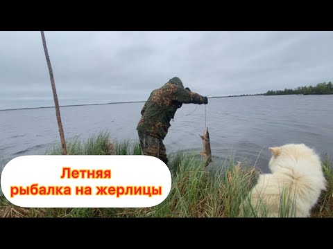 Видео: Летняя рыбалка на жерлицы. Ханты, жизнь в лесу 🌏