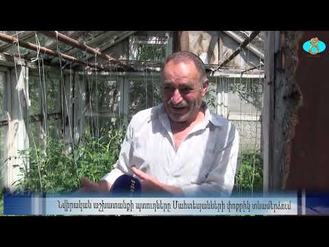Видео: Результаты труда во дворе семьи Майтесян. Նվիրական աշխատանքի պտուղները Մահտեսյանների տնամերձում