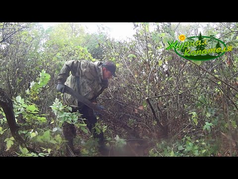 Видео: КОП МЕТАЛЛОЛОМА В ДЕРЕВНЕ! РАЗВЕДКА НОВОГО МЕСТА!
