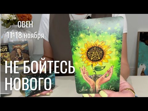 Видео: ОВЕН : Не бойтесь новых возможностей! | Неделя 11-18 ноября 2024 таро прогноз