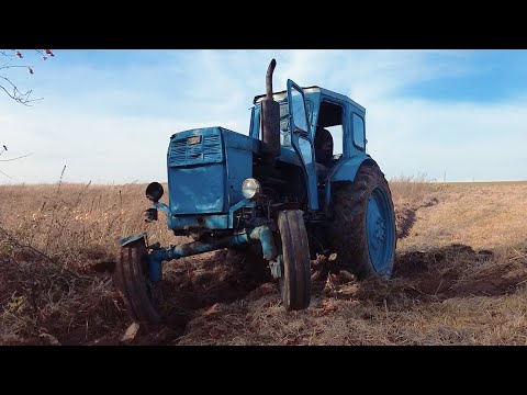 Видео: Вспашка целины на советском тракторе Т-40 без передка