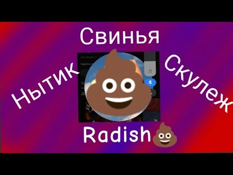 Видео: @Radizh  =💩/И вот почему!!РАЗОБЛАЧЕНИЕ №0