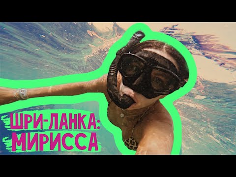 Видео: ШРИ-ЛАНКА: МИРИССА. Топ красивых мест и лучшие пляжи, местная еда и жизнь в деревне. Что посмотреть?