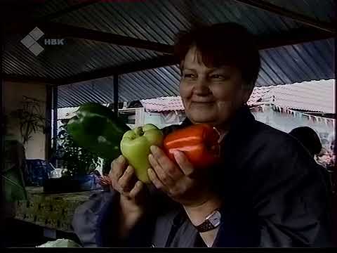 Видео: Документальный фильм про Нерюнгри, 2007 год (НВК Саха)