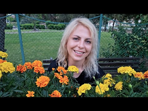 Видео: Засаждане на 16 САКСИИ с летни цветя | Отвъд оградата