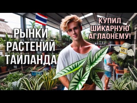 Видео: ОБЗОР РЫНКОВ РАСТЕНИЙ В ПАТТАЙЕ И МОИ ПЕРВЫЕ ПОКУПКИ В 2025 ГОДУ!😍👌🏻