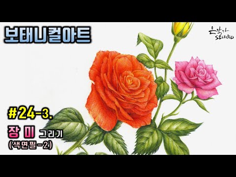 Видео: [Цветочный рисунок / Ботаническое искусство] № 24-3. Рисунок розовым карандашом, часть 2.