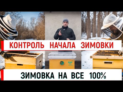 Видео: Контроль начала зимовки = зимовка 100%. Наглядно на примерах.