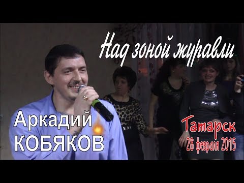 Видео: Аркадий КОБЯКОВ - Над зоной журавли (Татарск, 28.02.2015)