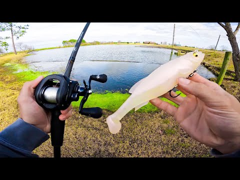 Видео: Рыболовные приманки BIG Swimbaits для ловли гигантского окуня (BIGGIN CAUGHT)