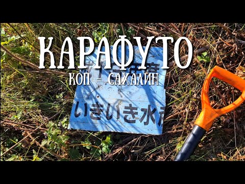 Видео: Сахалин - призакрытие сезона Карафуто копа #сахалин #природа #коп #карафуто
