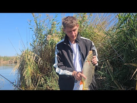 Видео: В общем с ездили на Балхаш ну в принципе  нормально.. сазан есть до 2 кг не больше  почему  не знаю