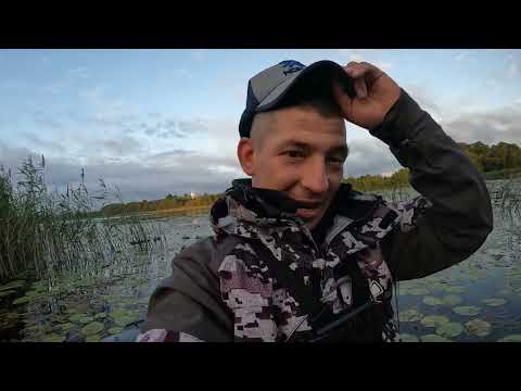 Видео: ВЫХОД В ОБЕД!!НАЧАЛА ХАПАТЬ ОДНА ЗА ДРУГОЙ.РЫБАЛКА В АВГУСТЕ 