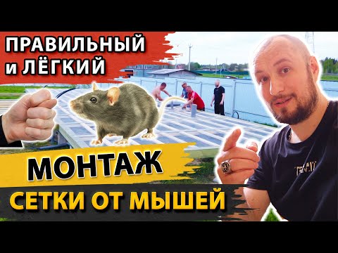 Видео: Монтаж сетки от грызунов. Самый простой и правильный способ | How to Get Rid of House Mice