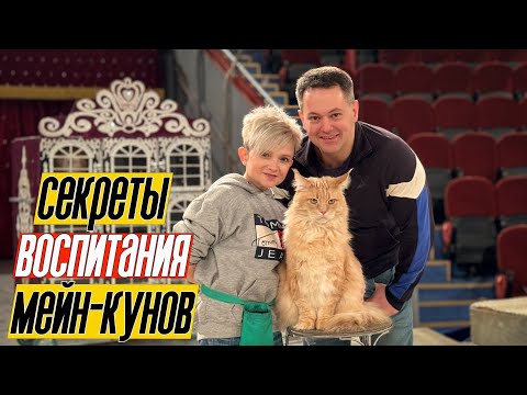 Видео: СЕКРЕТЫ НА МИЛЛИОН! Рецепт воспитания КОТЭ МЕЙН-КУНОВ. Закрытая репетиция в  цирке Алматы