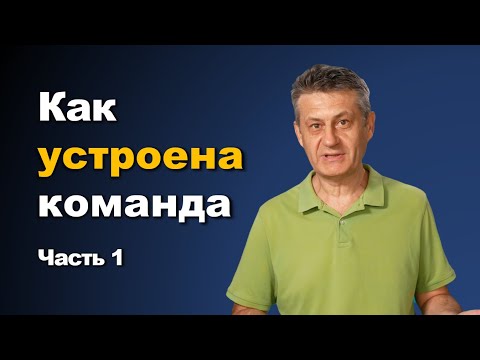 Видео: Как устроена команда. Часть 1