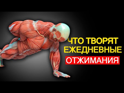 Видео: Что Будет с Телом, Если Каждый День Делать 10 Отжиманий