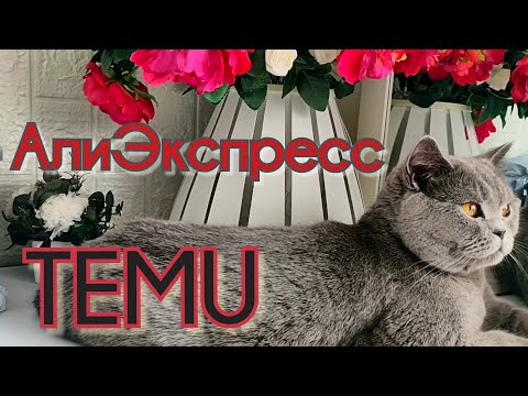 Видео: АлиЭкспресс и Тему товары для дома, готовимся к Новому Году, интересные находки.