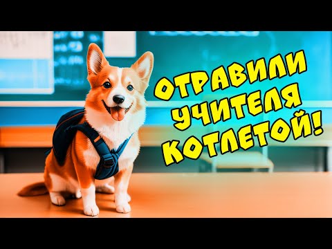 Видео: ЕСЛИ БЫ ПЁСИКИ ХОДИЛИ в ШКОЛУ! Последний звонок!! (Корги Коржик) Говорящая собака