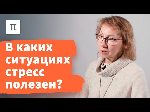 Видео: Фазы общего адаптационного синдрома — Анна Усенко / ПостНаука