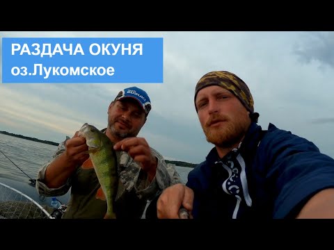 Видео: Рыбалка. Окуневое эльдорадо. Озеро Лукомское.