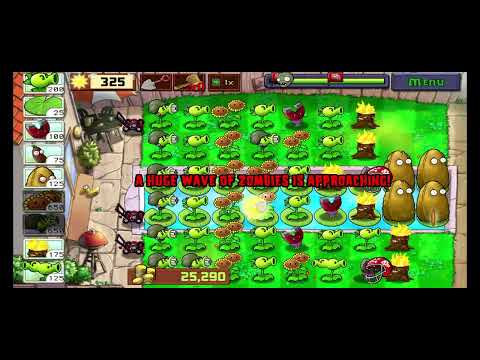 Видео: 6 сентября 2025 г.