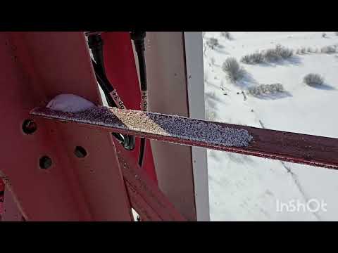 Видео: Будни. Верхушки башень.